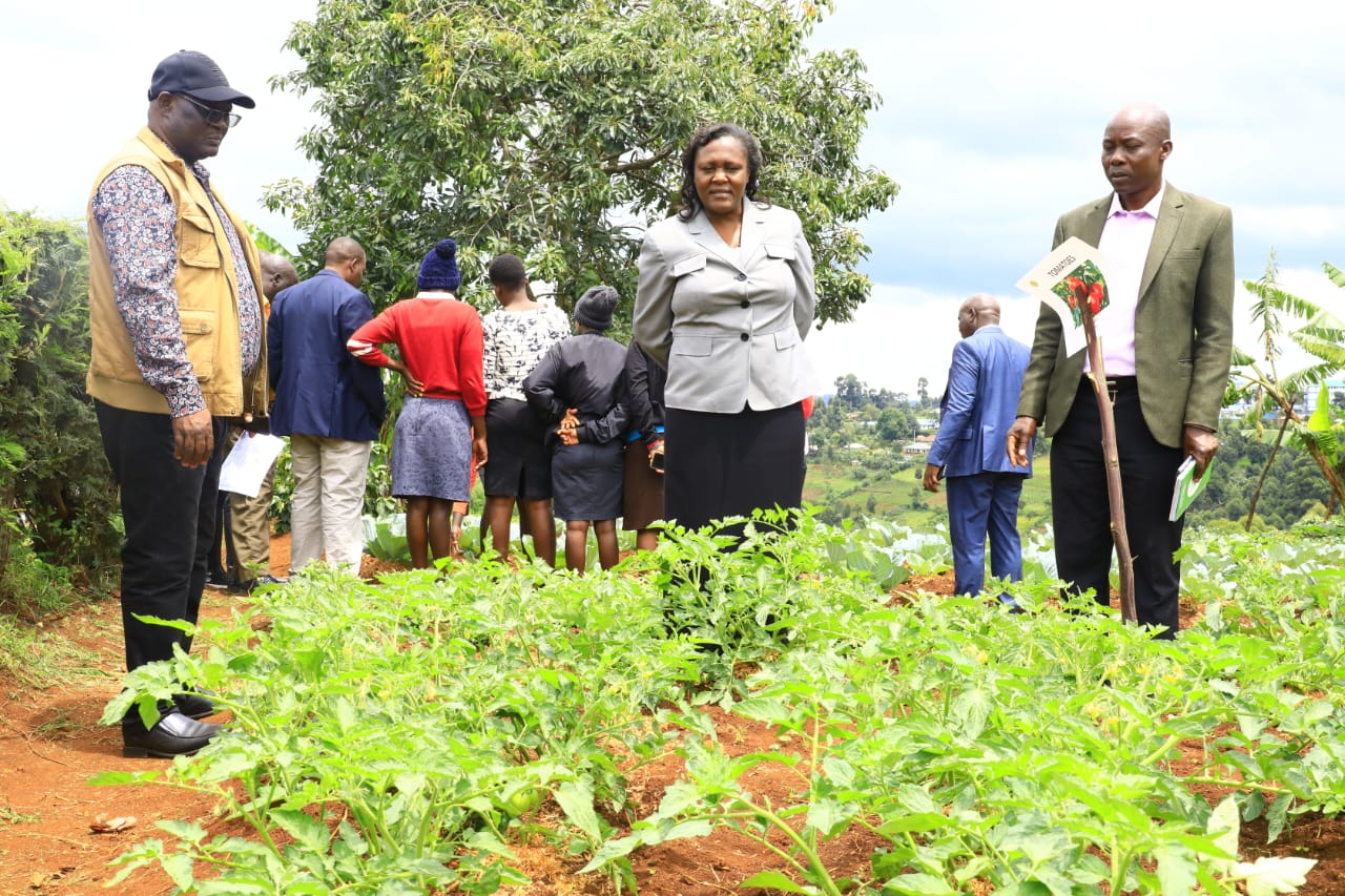 GOVERNOR NYARIBO URGES FARMERS TO EMBRACE AGRIBUSINESS TO INCREASE FOOD PRODUCTION